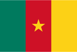 Cameroon Flag