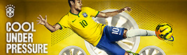Brasil Official Football Shirt or Jersey