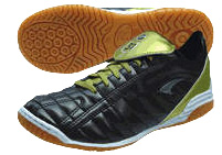 Futsal Shoe - click to enlarge