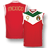 Mexico Soccer World Cup Shirts, Mexico National Team Shirts, Mexico Home Shirt, Mexico World Cup Soccer Jersey, Mexico Soccer Jersey, Mexico Jersey, Mexico Soccer Shirts, Mexico World Cup Products - Mexico Nationalteam Shirt